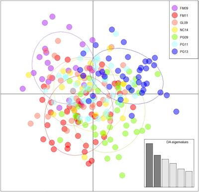 Sample contamination explains evidence of close kin proximity in yellowfin tuna (Thunnus albacares) in the Western and Central Pacific Ocean